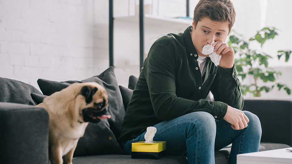 Purchasing an air purifier is one of the wisest approaches to improve your home’s indoor air quality. Discover more about the three smartest solutions. 